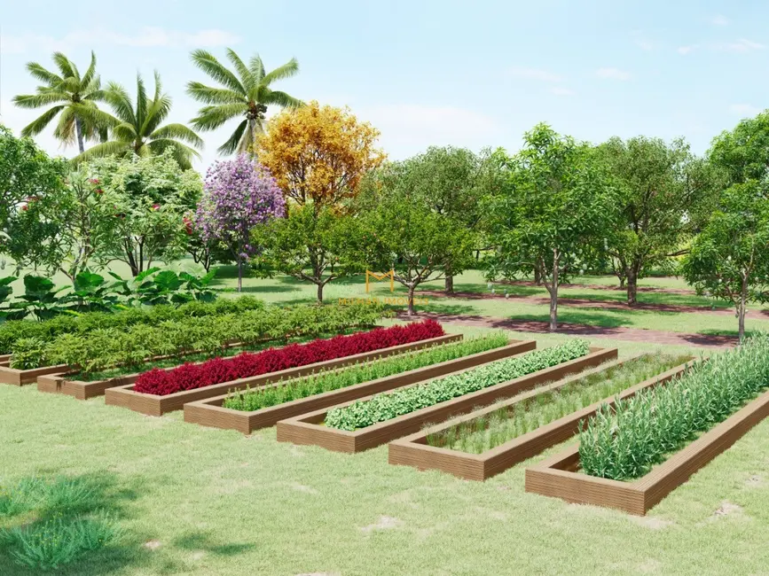 Foto 7 de Terreno / Lote à venda, 160m2 em Monte Mor - SP