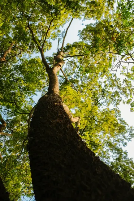 Foto 2 de Terreno / Lote à venda, 399m2 em Recanto Campestre Internacional de Viracopos Gleba 6, Indaiatuba - SP