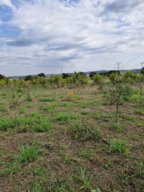 Foto 8 de Terreno / Lote à venda, 1000m2 em Elias Fausto - SP