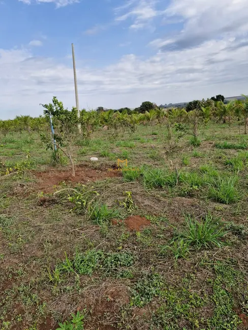 Foto 5 de Terreno / Lote à venda, 1000m2 em Elias Fausto - SP