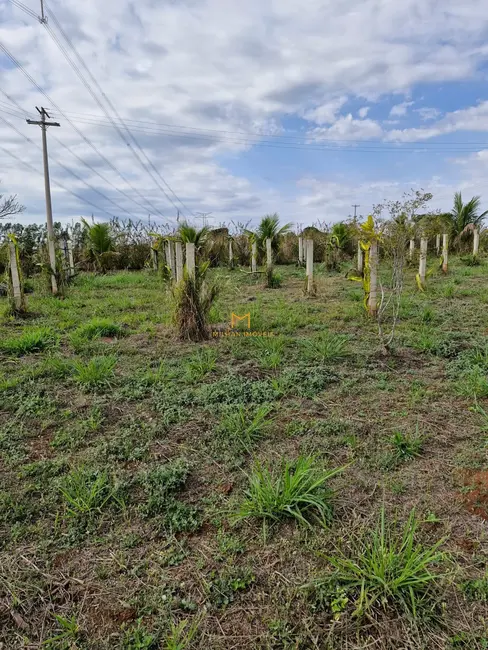 Foto 6 de Terreno / Lote à venda, 1000m2 em Elias Fausto - SP