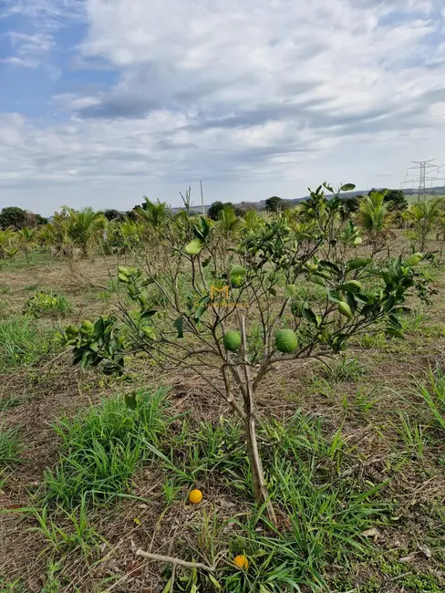 Foto 3 de Terreno / Lote à venda, 1000m2 em Elias Fausto - SP