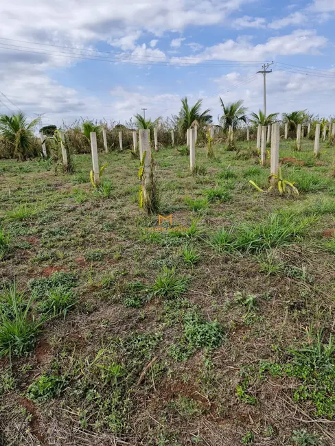 Foto 2 de Terreno / Lote à venda, 1000m2 em Elias Fausto - SP