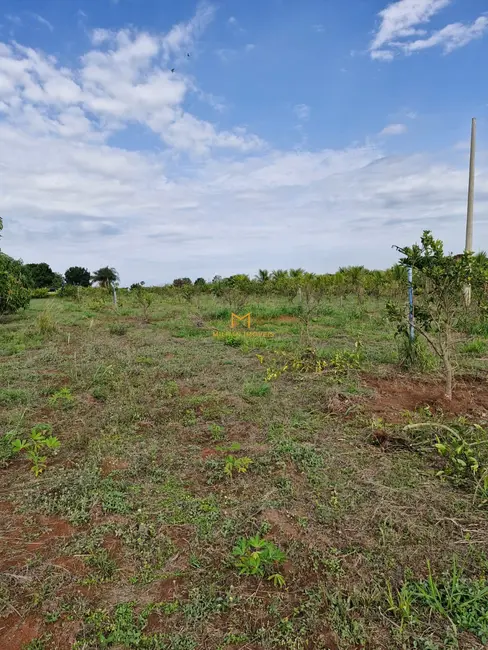 Foto 9 de Terreno / Lote à venda, 1000m2 em Elias Fausto - SP
