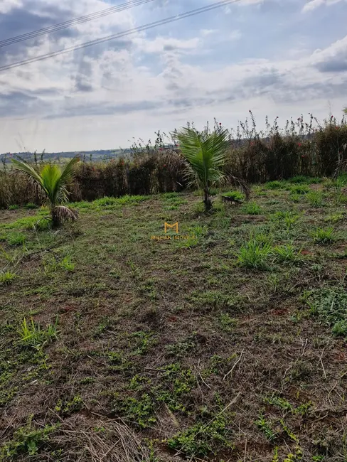 Foto 4 de Terreno / Lote à venda, 1000m2 em Elias Fausto - SP