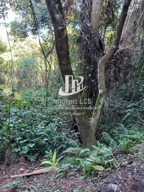 Foto 5 de Terreno / Lote à venda, 9400m2 em Alpes dos Araçás (Jordanésia), Cajamar - SP