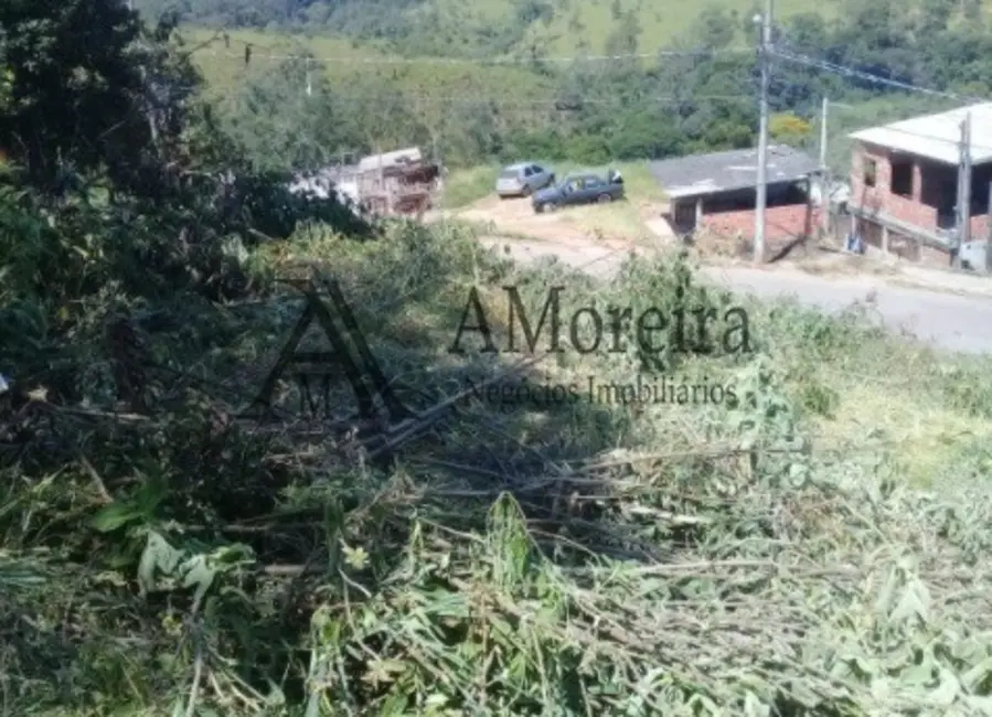 Foto 3 de Terreno / Lote à venda, 220m2 em Parque Internacional, Campo Limpo Paulista - SP