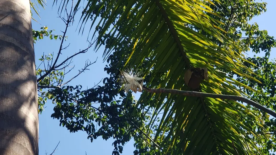 Foto 6 de Terreno / Lote à venda, 1245m2 em Itupeva - SP