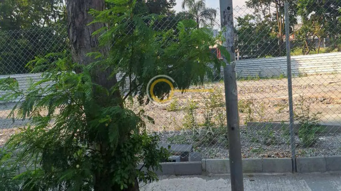Foto 6 de Terreno / Lote para alugar, 1200m2 em Cambuci, São Paulo - SP