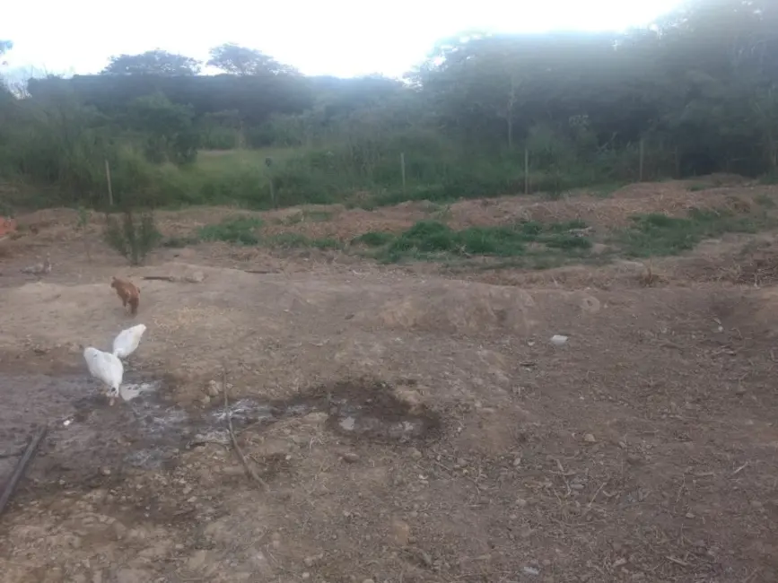 Foto 8 de Sítio / Rancho à venda em Piedade Dos Gerais - MG