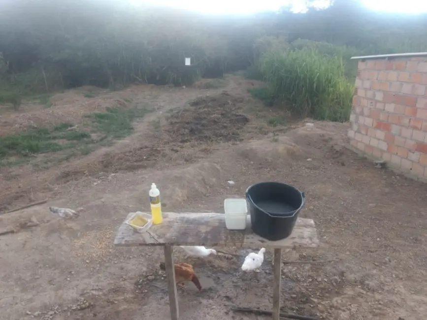 Foto 7 de Sítio / Rancho à venda em Piedade Dos Gerais - MG