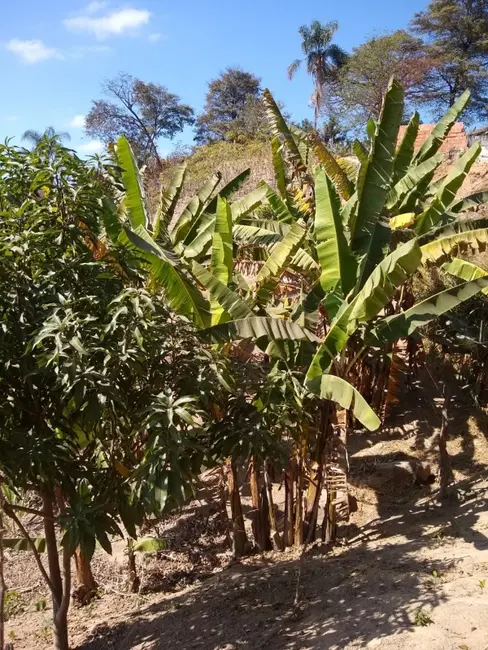 Terreno / Lote à venda, 500m2 em Bandeirinhas, Betim - MG - imagem 5 Foto 5 de Terreno / Lote à venda, 500m2 em Bandeirinhas, Betim - MG