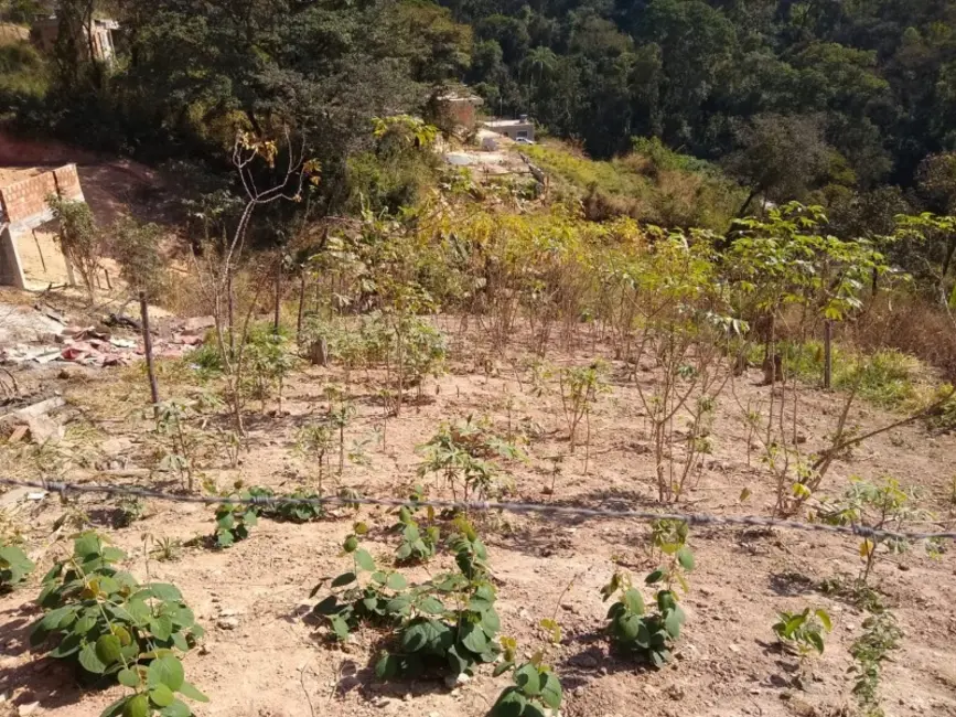 Foto 1 de Terreno / Lote à venda, 500m2 em Bandeirinhas, Betim - MG