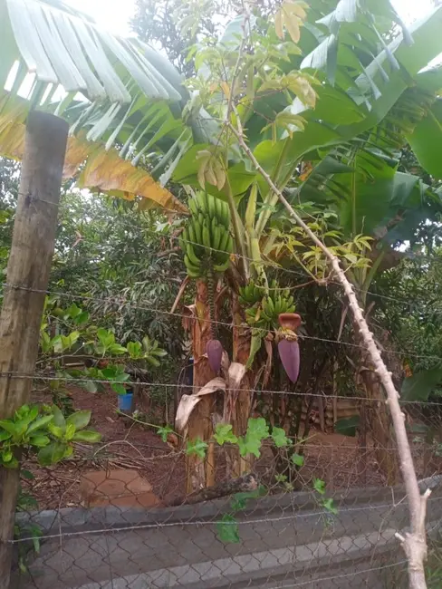 Terreno / Lote à venda, 360m2 em Sao Joaquim De Bicas - MG - imagem 3 Foto 3 de Terreno / Lote à venda, 360m2 em Sao Joaquim De Bicas - MG