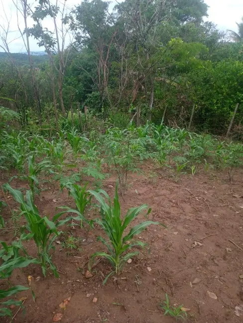 Terreno / Lote à venda, 360m2 em Sao Joaquim De Bicas - MG - imagem 8 Foto 8 de Terreno / Lote à venda, 360m2 em Sao Joaquim De Bicas - MG