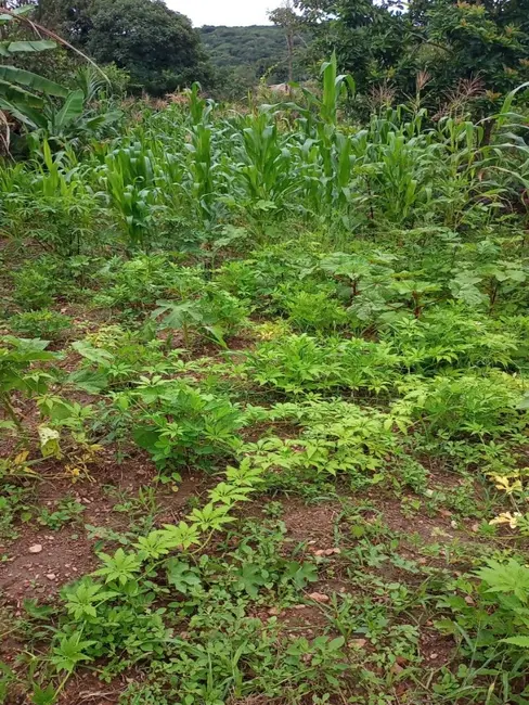 Terreno / Lote à venda, 360m2 em Sao Joaquim De Bicas - MG - imagem 7 Foto 7 de Terreno / Lote à venda, 360m2 em Sao Joaquim De Bicas - MG