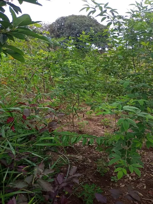 Foto 1 de Terreno / Lote à venda, 360m2 em Sao Joaquim De Bicas - MG