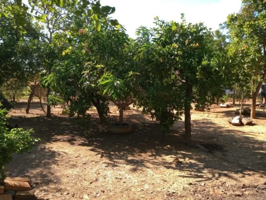 Foto 5 de Terreno / Lote à venda, 1000m2 em Curvelo - MG