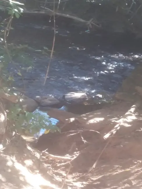 Foto 6 de Chácara à venda, 20000m2 em Jaboticatubas - MG