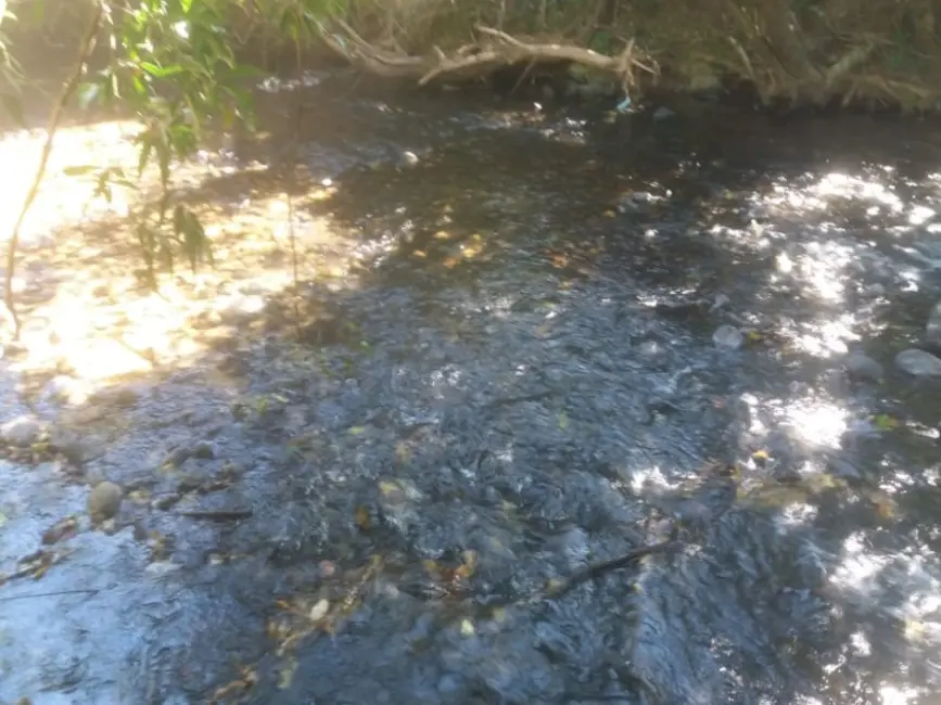 Foto 5 de Chácara à venda, 20000m2 em Jaboticatubas - MG