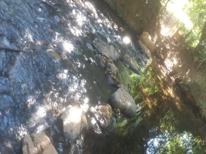 Chácara à venda, 20000m2 em Jaboticatubas - MG - imagem 3 Foto 3 de Chácara à venda, 20000m2 em Jaboticatubas - MG