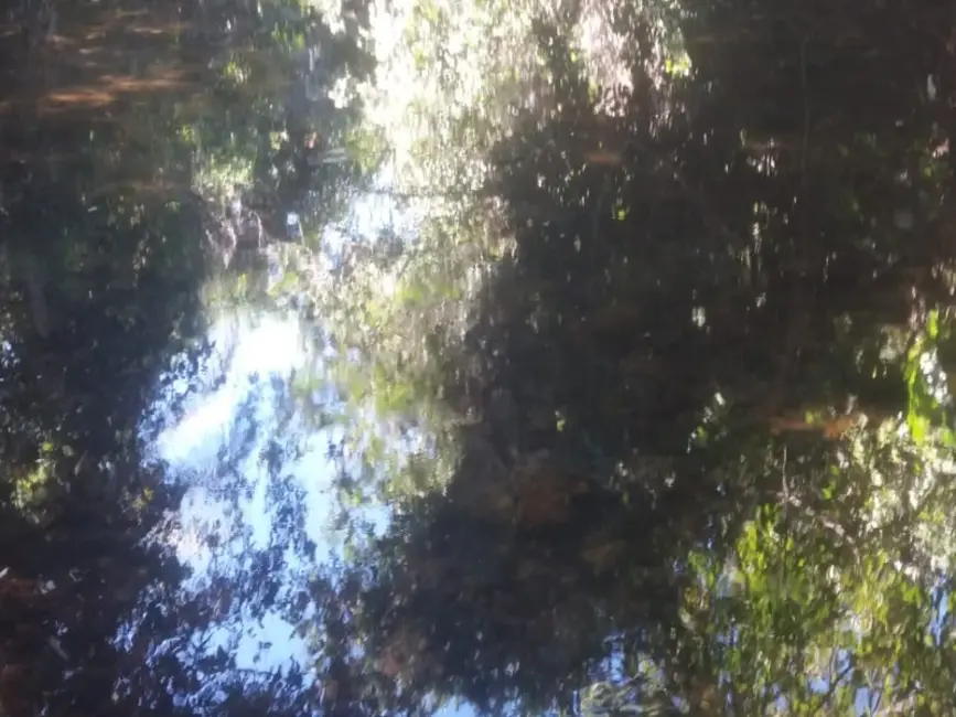 Foto 4 de Chácara à venda, 20000m2 em Jaboticatubas - MG