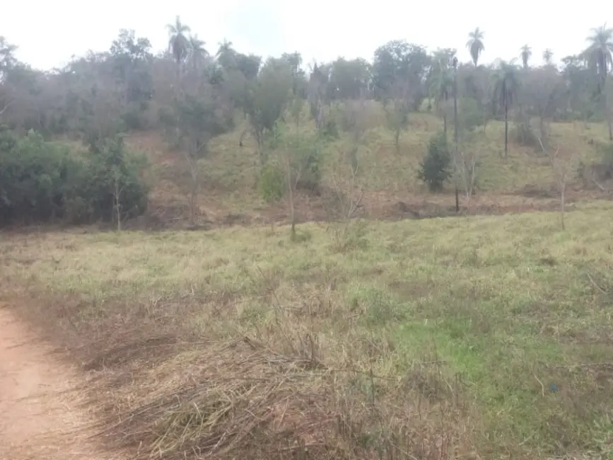 Chácara à venda, 20000m2 em Jaboticatubas - MG - imagem 8 Foto 8 de Chácara à venda, 20000m2 em Jaboticatubas - MG