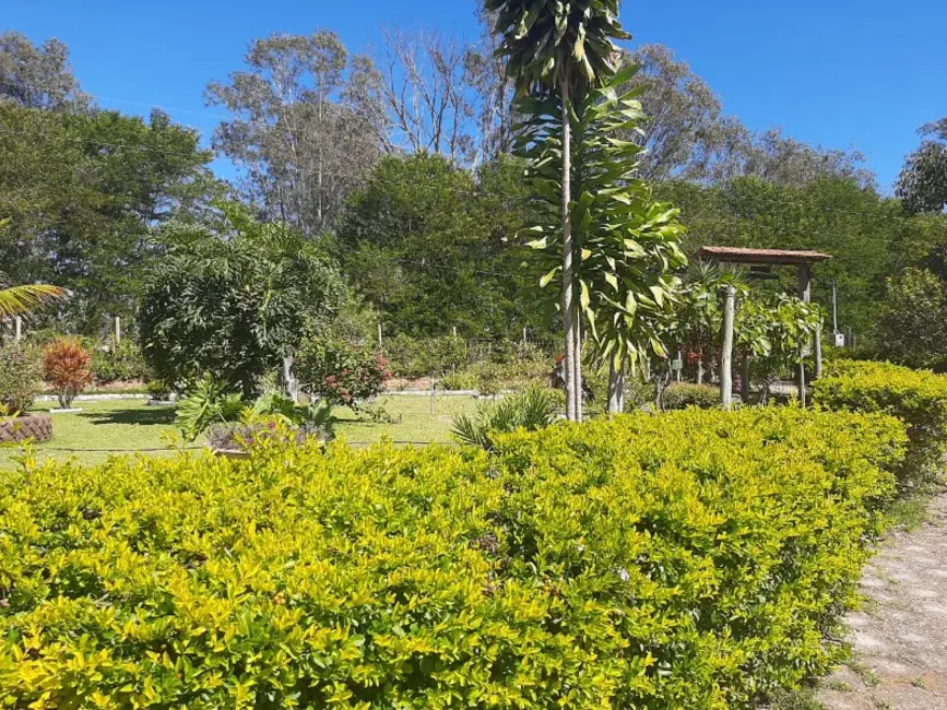 Foto 6 de Sítio / Rancho com 5 quartos à venda, 20000m2 em Itatiaiucu - MG
