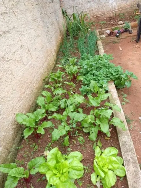 Foto 6 de Casa com 2 quartos à venda, 360m2 em Contagem - MG