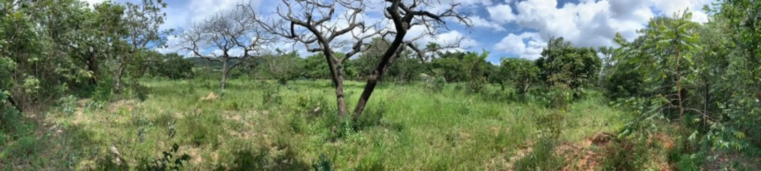 Foto 1 de Terreno / Lote à venda, 10000m2 em São Sebastião, Betim - MG