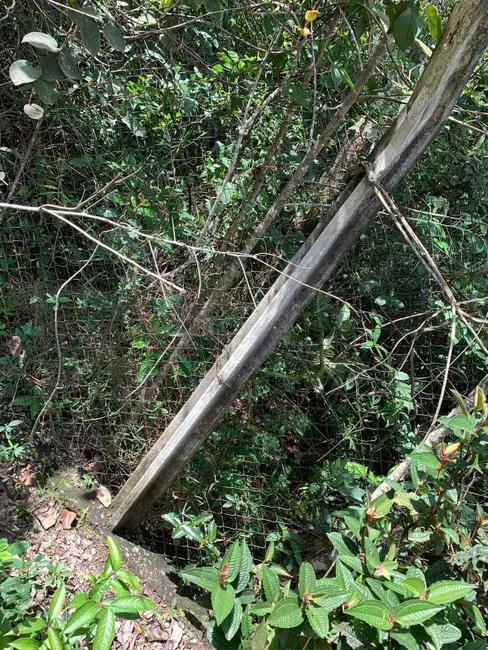 Terreno / Lote à venda, 10000m2 em São Sebastião, Betim - MG - imagem 4 Foto 4 de Terreno / Lote à venda, 10000m2 em São Sebastião, Betim - MG