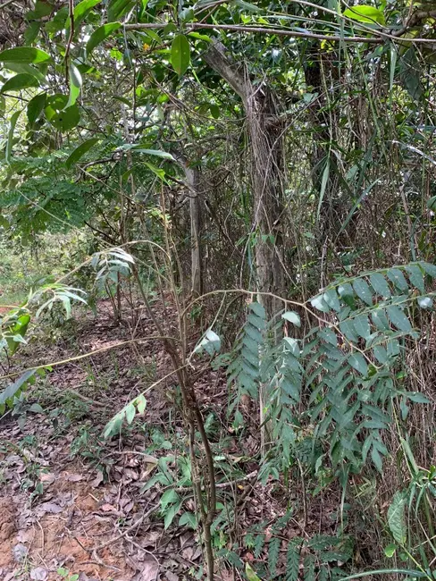 Terreno / Lote à venda, 10000m2 em São Sebastião, Betim - MG - imagem 3 Foto 3 de Terreno / Lote à venda, 10000m2 em São Sebastião, Betim - MG