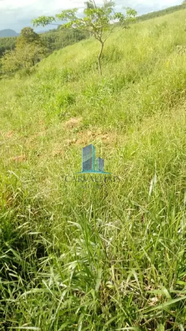 Foto 2 de Terreno / Lote à venda, 130000m2 em Carmopolis De Minas - MG