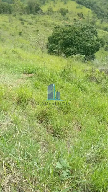 Foto 4 de Terreno / Lote à venda, 130000m2 em Carmopolis De Minas - MG