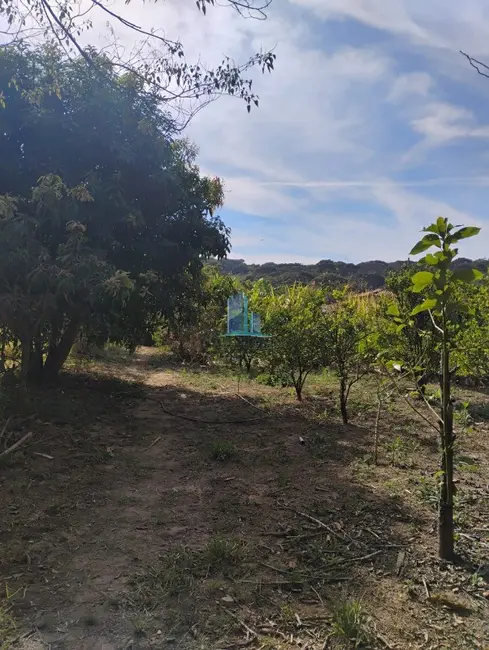 Foto 5 de Sítio / Rancho com 3 quartos à venda, 1300m2 em Piracema - MG