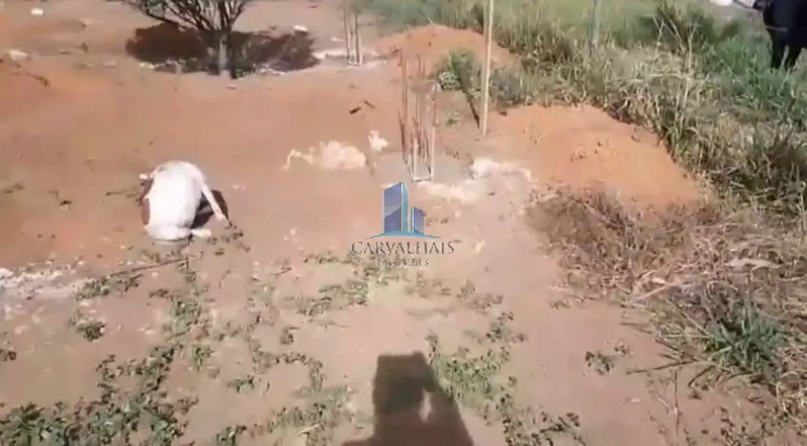 Terreno / Lote à venda, 180m2 em Paquetá, Betim - MG - imagem 4 Foto 4 de Terreno / Lote à venda, 180m2 em Paquetá, Betim - MG