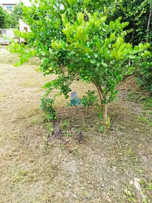 Foto 9 de Terreno / Lote à venda, 1000m2 em Contagem - MG