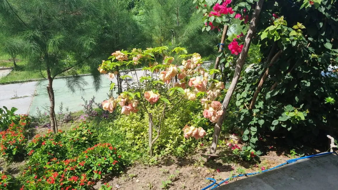 Casa com 2 quartos à venda, 280m2 em Aquiraz - CE - imagem 4 Foto 4 de Casa com 2 quartos à venda, 280m2 em Aquiraz - CE