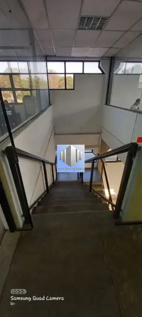 Foto 6 de Armazém / Galpão para alugar, 1600m2 em Vila Maria, São Paulo - SP