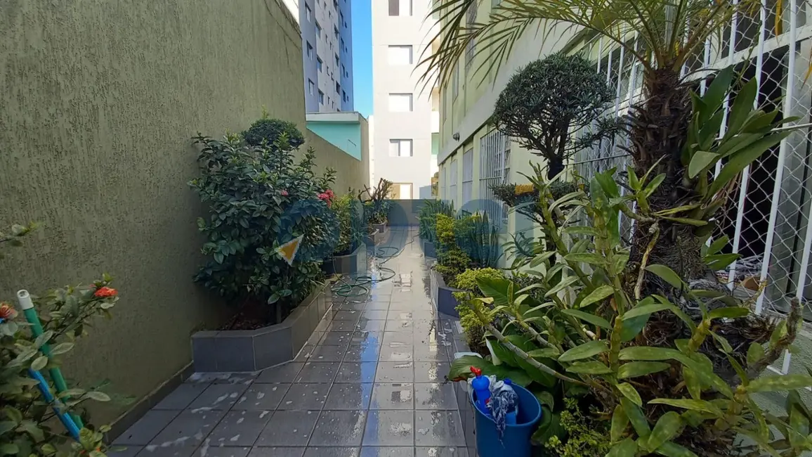 Apartamento com 2 quartos à venda, 55m2 em Rudge Ramos, Sao Bernardo Do Campo - SP - imagem 9 Foto 9 de Apartamento com 2 quartos à venda, 55m2 em Rudge Ramos, Sao Bernardo Do Campo - SP