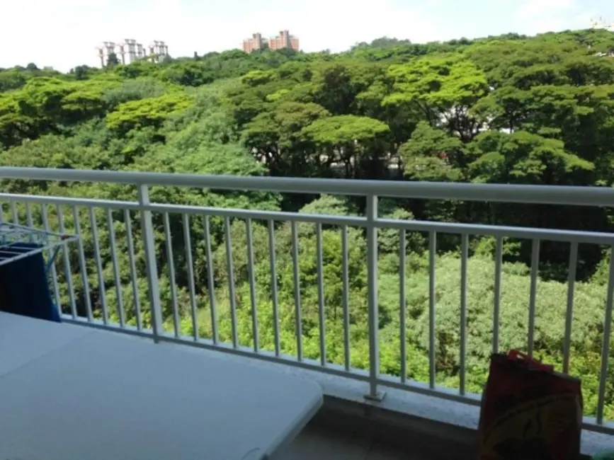 Apartamento com 3 quartos à venda, 81m2 em Vila Isa, São Paulo - SP - imagem 7 Foto 7 de Apartamento com 3 quartos à venda, 81m2 em Vila Isa, São Paulo - SP