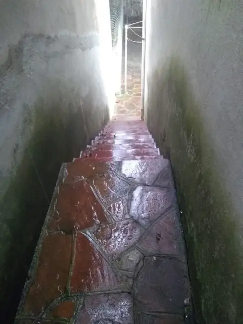 Foto 9 de Casa com 3 quartos à venda, 260m2 em Vila Mariana, São Paulo - SP