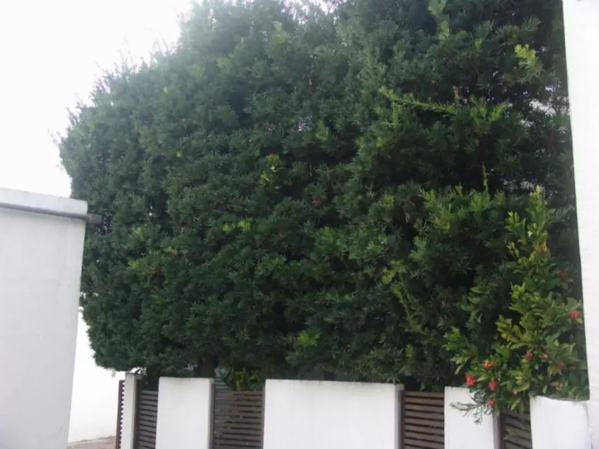 Foto 7 de Sala Comercial à venda, 600m2 em Granja Julieta, São Paulo - SP