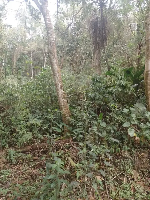 Foto 5 de Terreno / Lote à venda, 1390m2 em Mairipora - SP