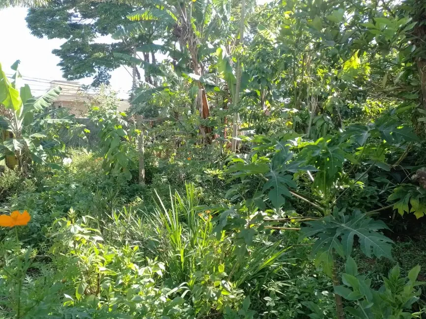 Foto 3 de Terreno / Lote à venda, 900m2 em Interlagos, São Paulo - SP