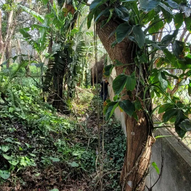 Foto 8 de Terreno / Lote à venda e para alugar, 2013m2 em Riviera Paulista, São Paulo - SP