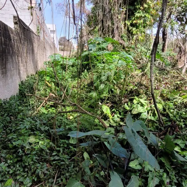 Foto 6 de Terreno / Lote à venda e para alugar, 2013m2 em Riviera Paulista, São Paulo - SP