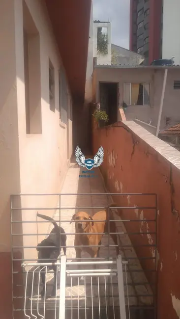 Sobrado com 4 quartos à venda, 177m2 em Lauzane Paulista, São Paulo - SP - imagem 5 Foto 5 de Sobrado com 4 quartos à venda, 177m2 em Lauzane Paulista, São Paulo - SP