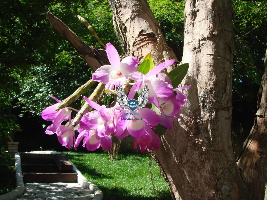 Foto 8 de Casa com 2 quartos à venda, 420m2 em Horto Florestal, São Paulo - SP