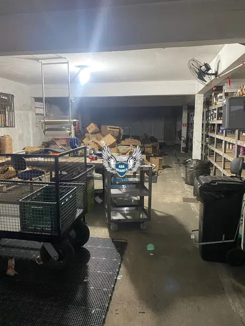 Loja com 2 quartos à venda, 600m2 em Parque Edu Chaves, São Paulo - SP - imagem 5 Foto 5 de Loja com 2 quartos à venda, 600m2 em Parque Edu Chaves, São Paulo - SP